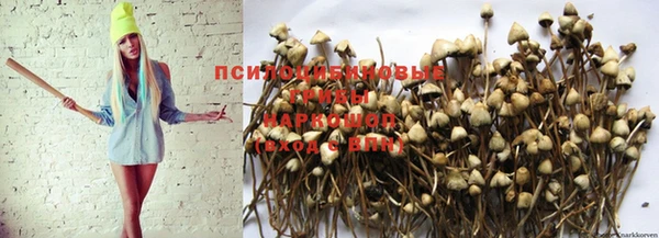 дмт Абдулино