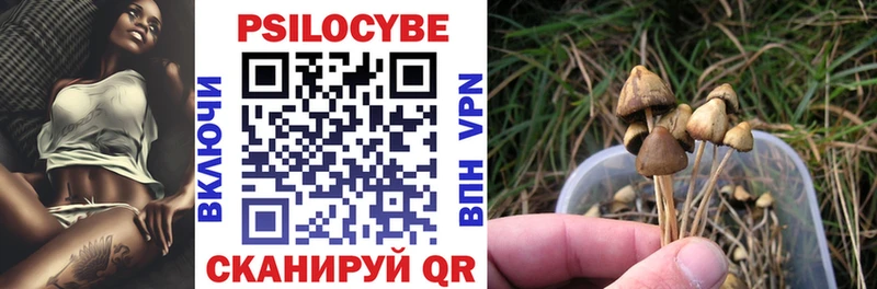 Галлюциногенные грибы Psilocybine cubensis  Тавда 